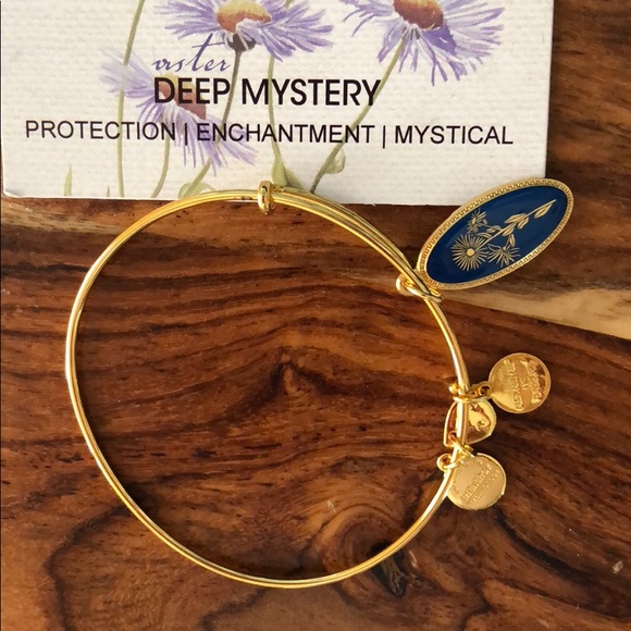 Alex and Ani Persephone energy bracelet - Picture 2 of 4